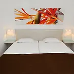 Dorisol Estrelicia Hotel 3*