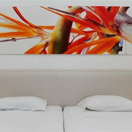 Hotel Dorisol Estrelicia