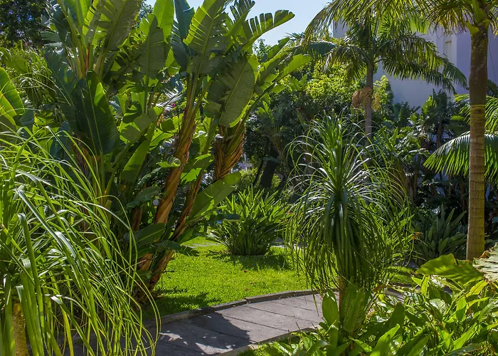 Hotel Dorisol Estrelicia Funchal (Madeira)