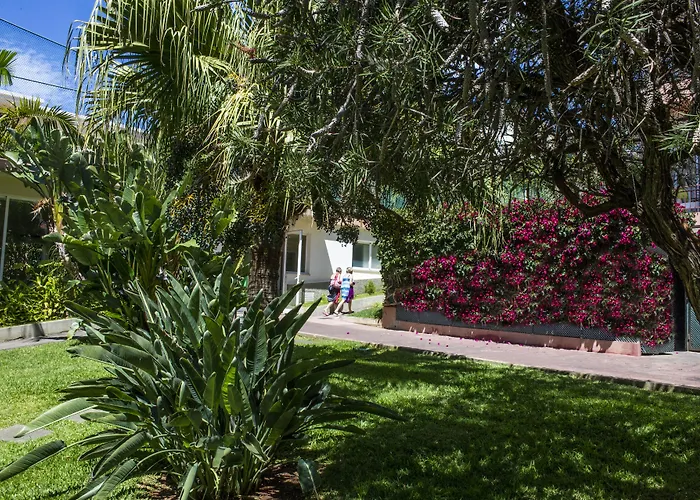 Hotel Dorisol Estrelicia